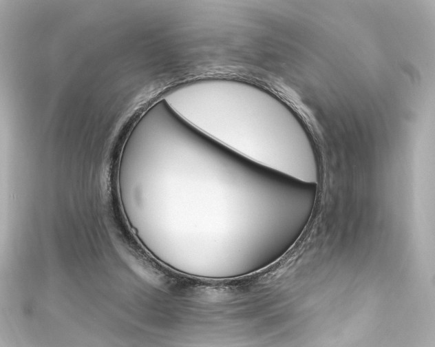 X0000111600250200907161220