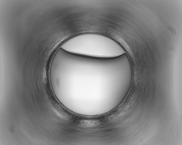 X0000111600251200907161220