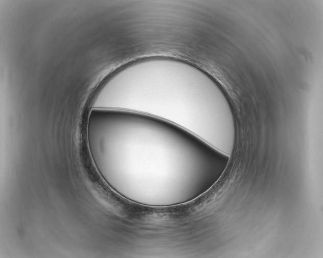 X0000111600252200907161220