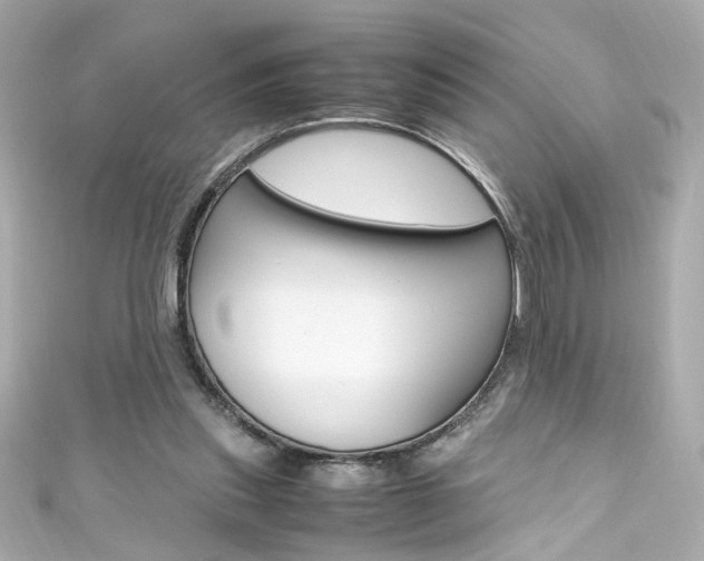 X0000111600253200907161220