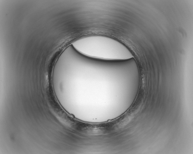 X0000111600254200907161220