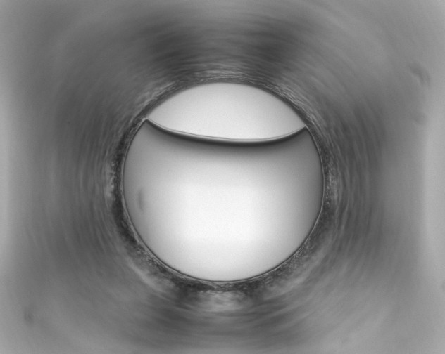X0000111600255200907161220