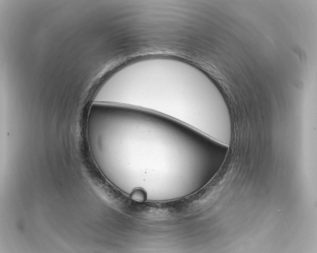 X0000111600256200907161220