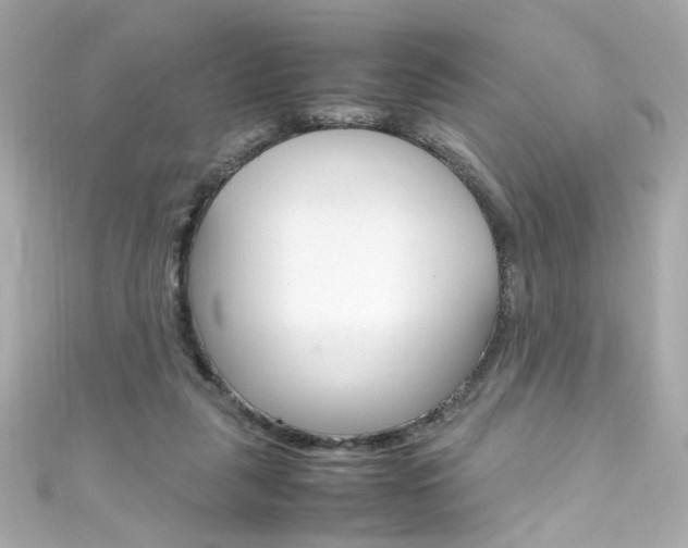 X0000111600259200907161220