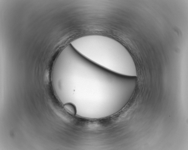 X0000111600262200907161220
