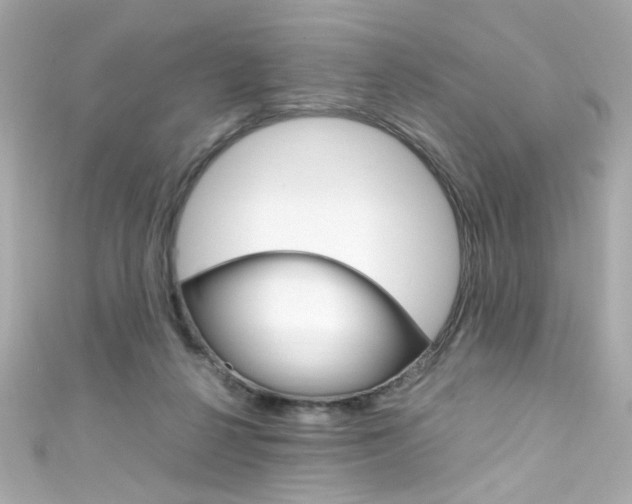 X0000111600264200907161220