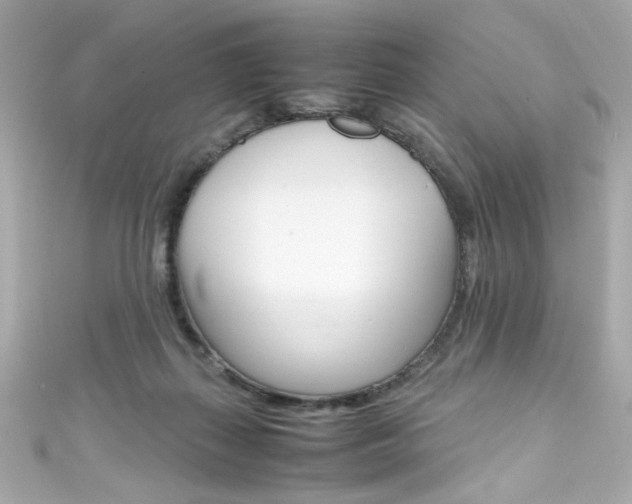X0000111600267200907161220