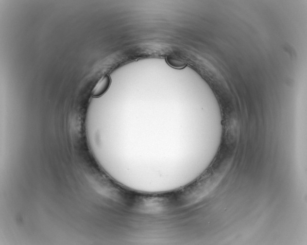 X0000111600268200907161220