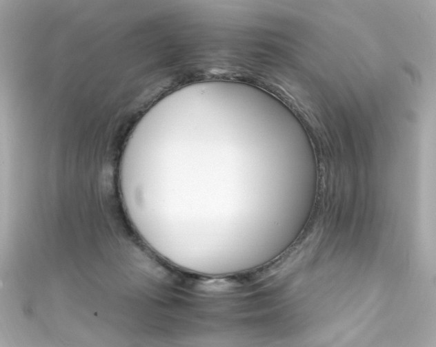 X0000111600269200907161220