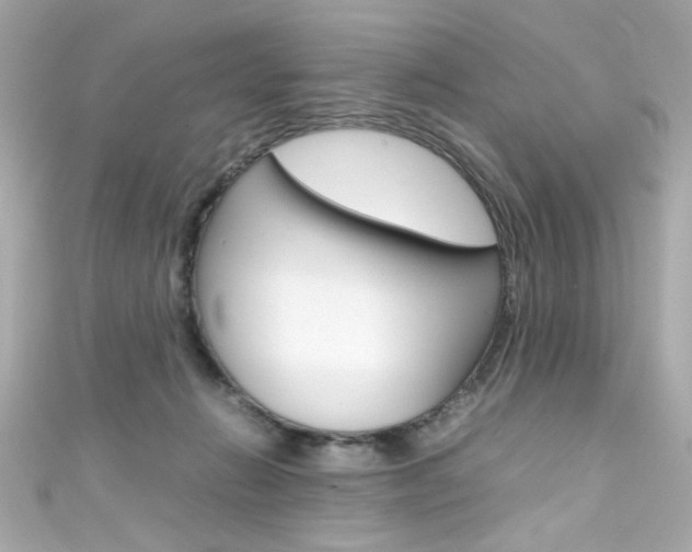 X0000111600270200907161220