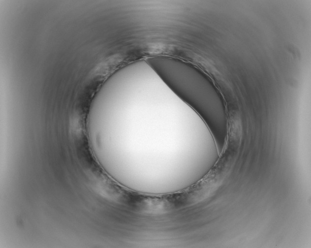 X0000111600272200907161220