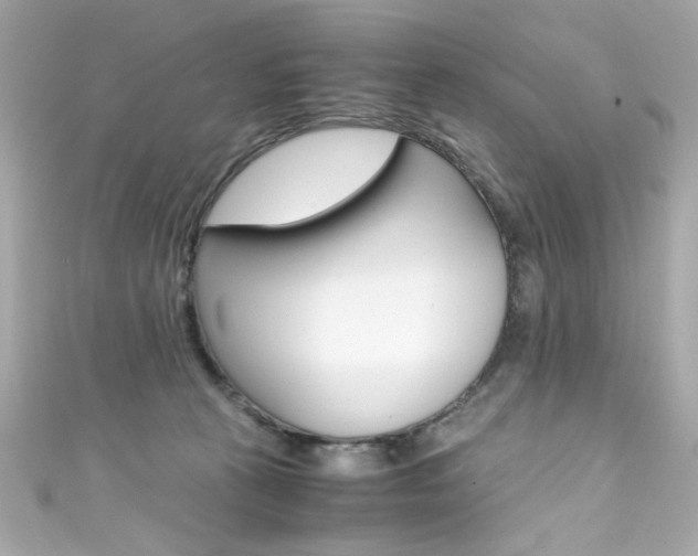 X0000111600273200907161221