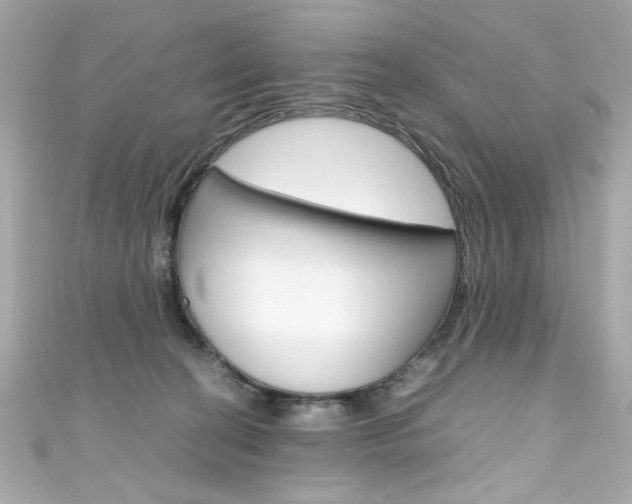 X0000111600274200907161221