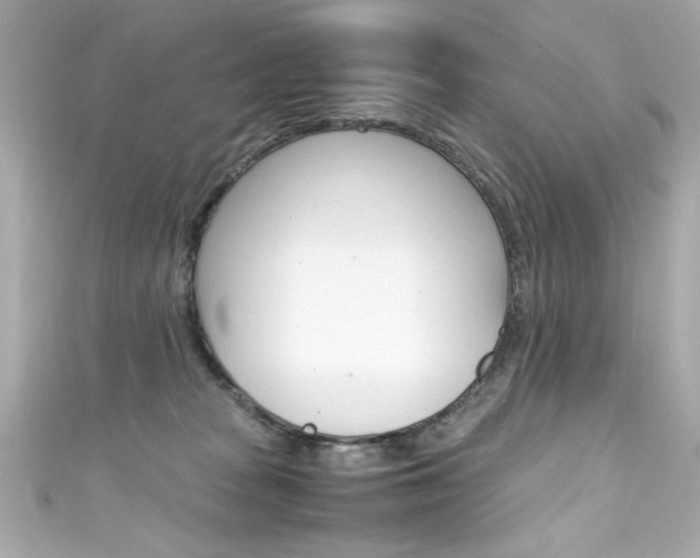 X0000111600277200907161221