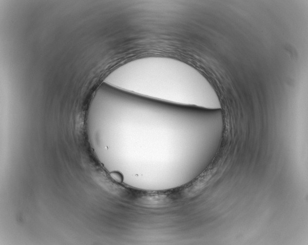 X0000111600278200907161221