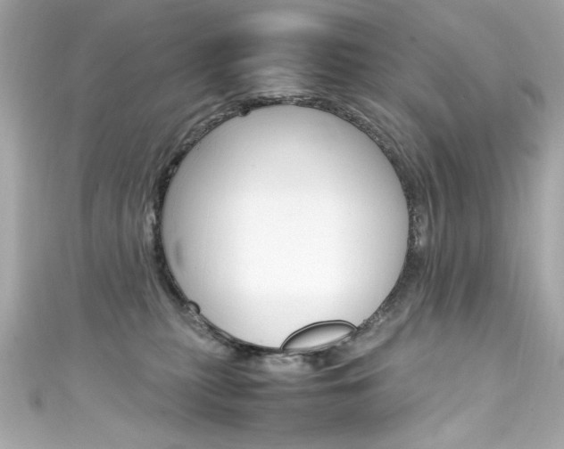 X0000111600279200907161221