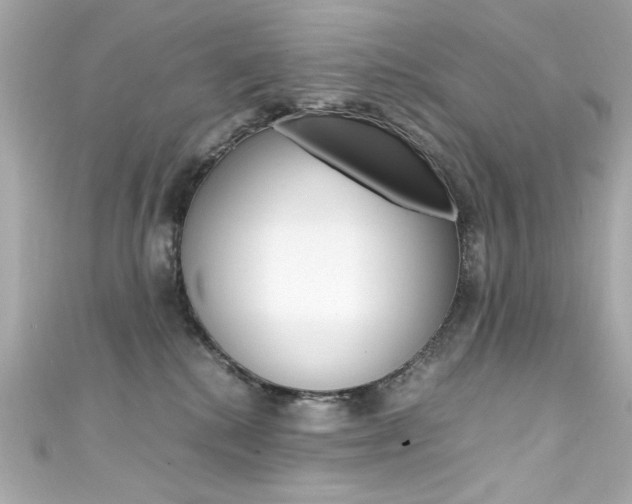X0000111600280200907161221