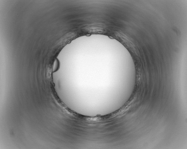 X0000111600281200907161221