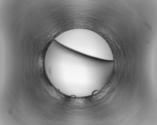 X0000111600282200907161221