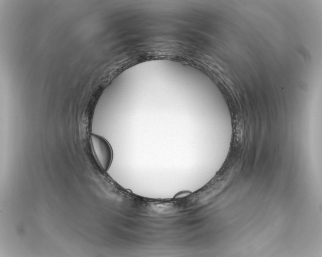 X0000111600283200907161221