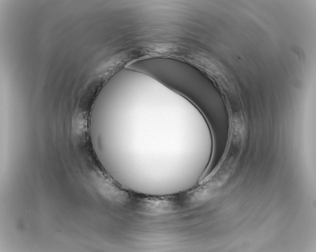 X0000111600284200907161221