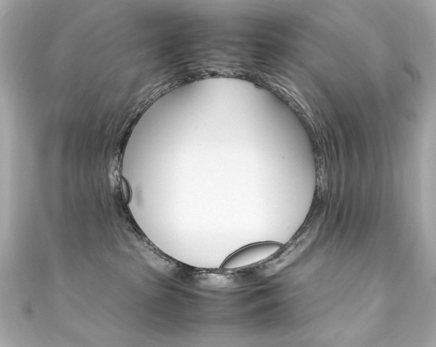 X0000111600285200907161221