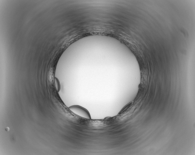 X0000111600287200907161221