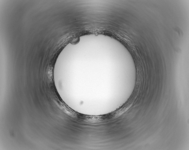 X0000111600288200907161221