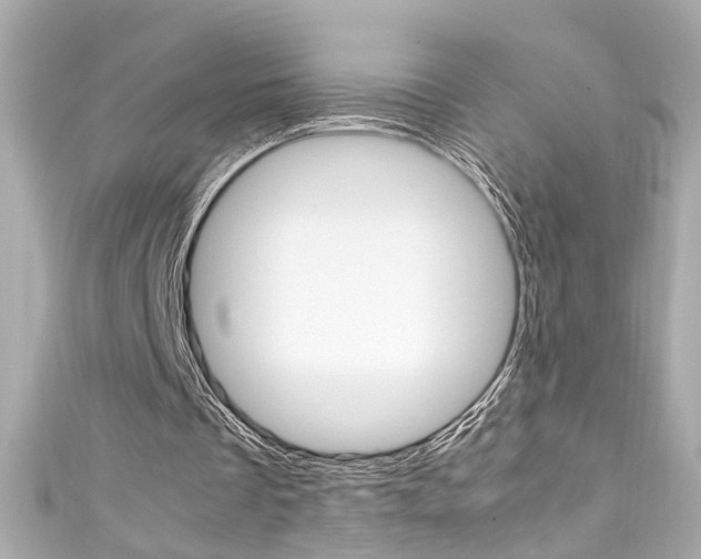 X0000111600289200907161220