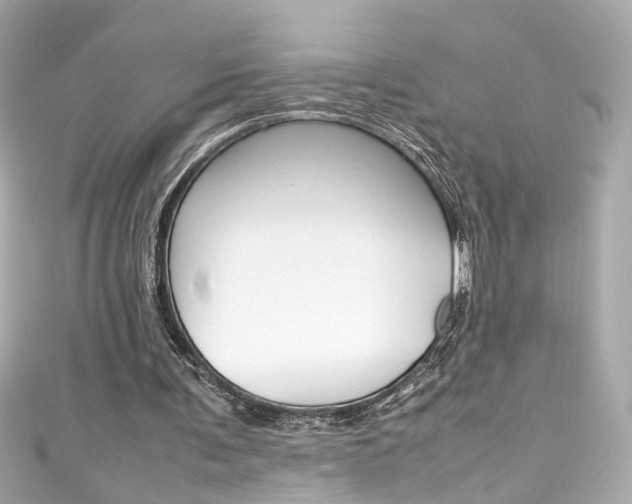 X0000111600291200907161220