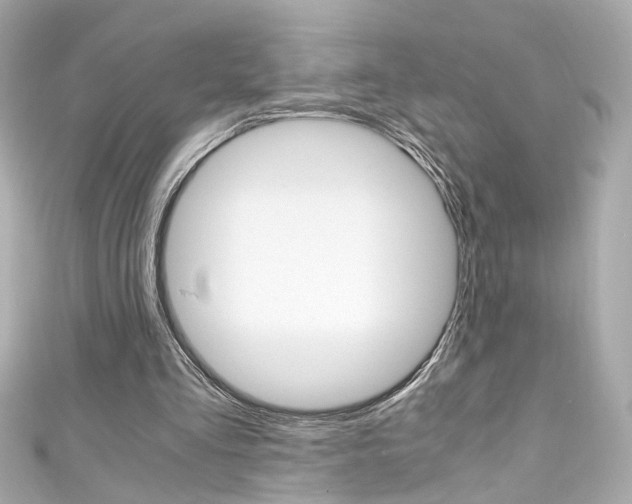 X0000111600293200907161220