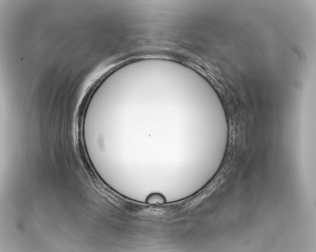 X0000111600294200907161220
