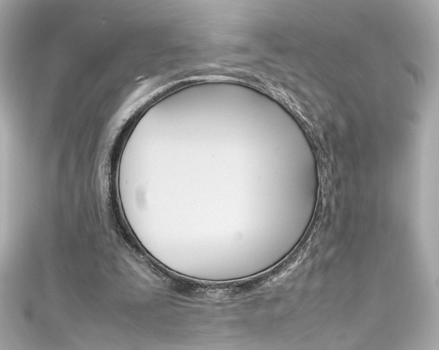 X0000111600295200907161220