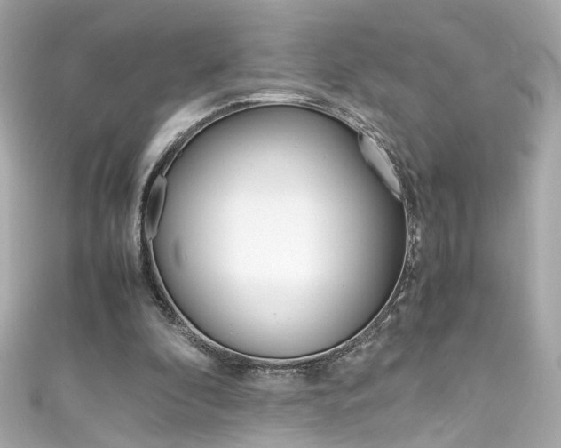 X0000111600296200907161220