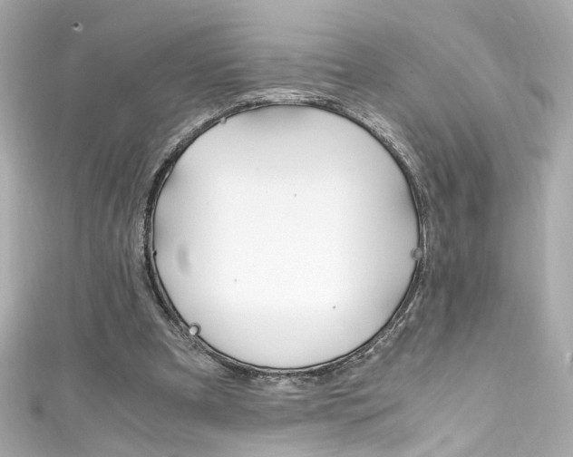 X0000111600297200907161220