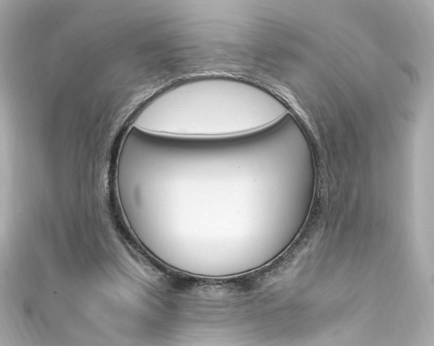 X0000111600299200907161220