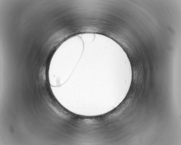 X0000111600302200907161220