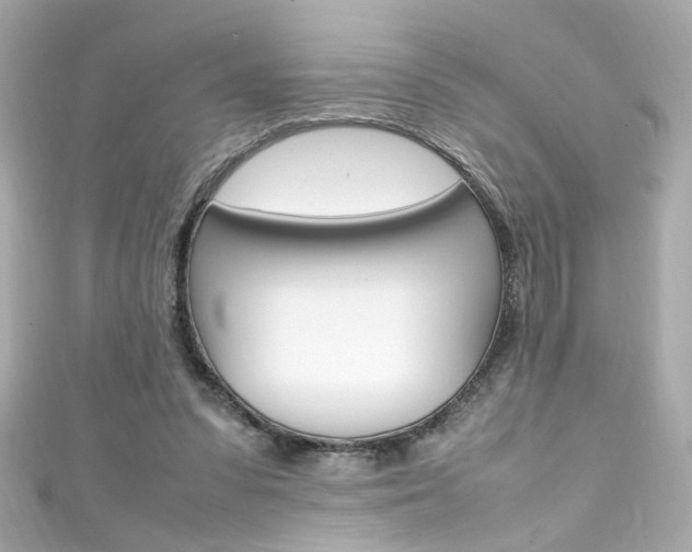 X0000111600303200907161220
