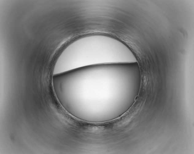 X0000111600304200907161220