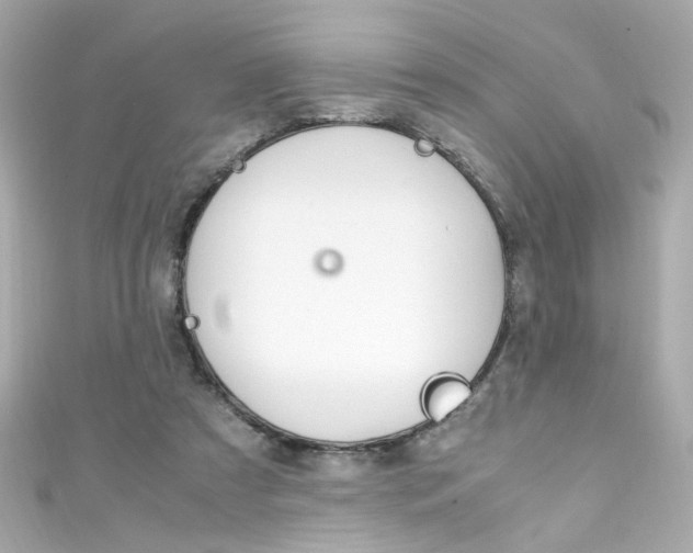 X0000111600305200907161220