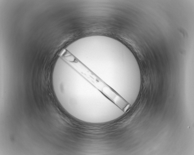 X0000111600308200907161220