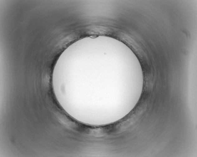 X0000111600309200907161220