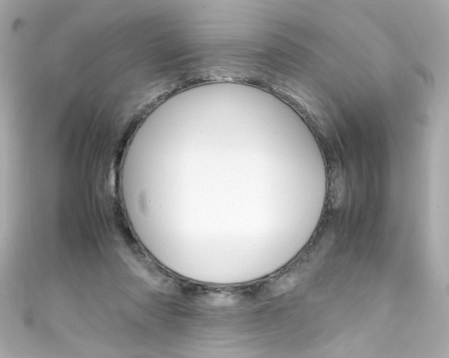 X0000111600310200907161220