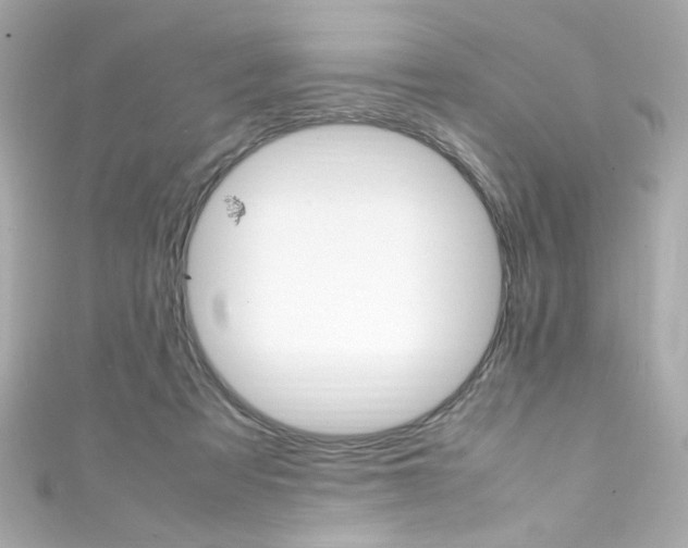 X0000111600313200907161220