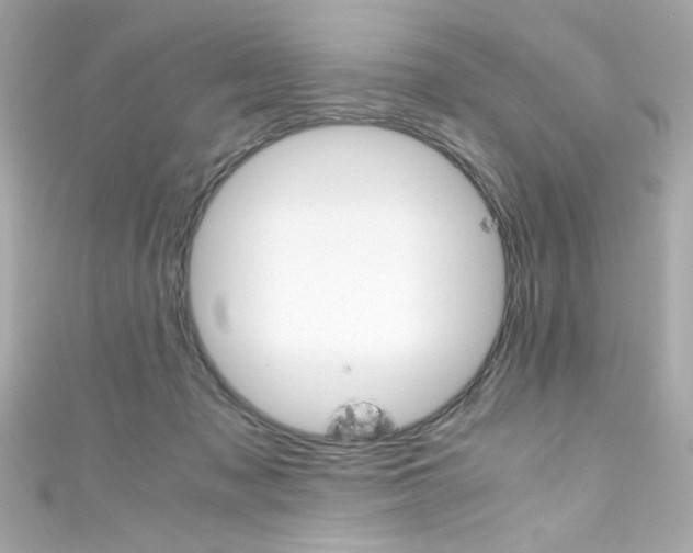 X0000111600317200907161220