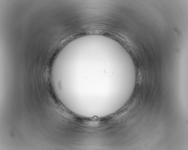 X0000111600318200907161220