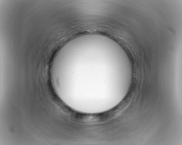 X0000111600319200907161220