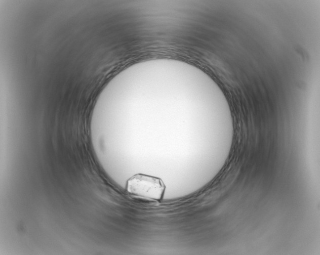 X0000111600320200907161220