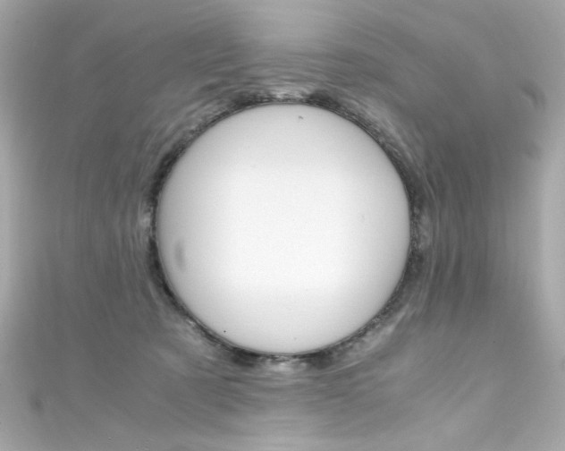 X0000111600321200907161220
