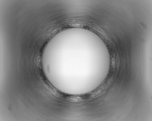 X0000111600322200907161220